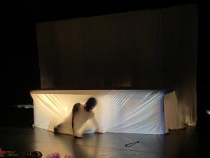 IMG 9474